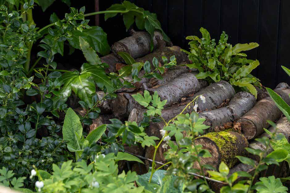 Log pile in the Concrete 2.0 Garden