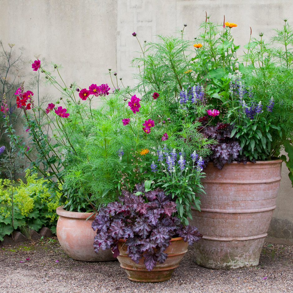 Themed containers can be grouped for a high-impact display