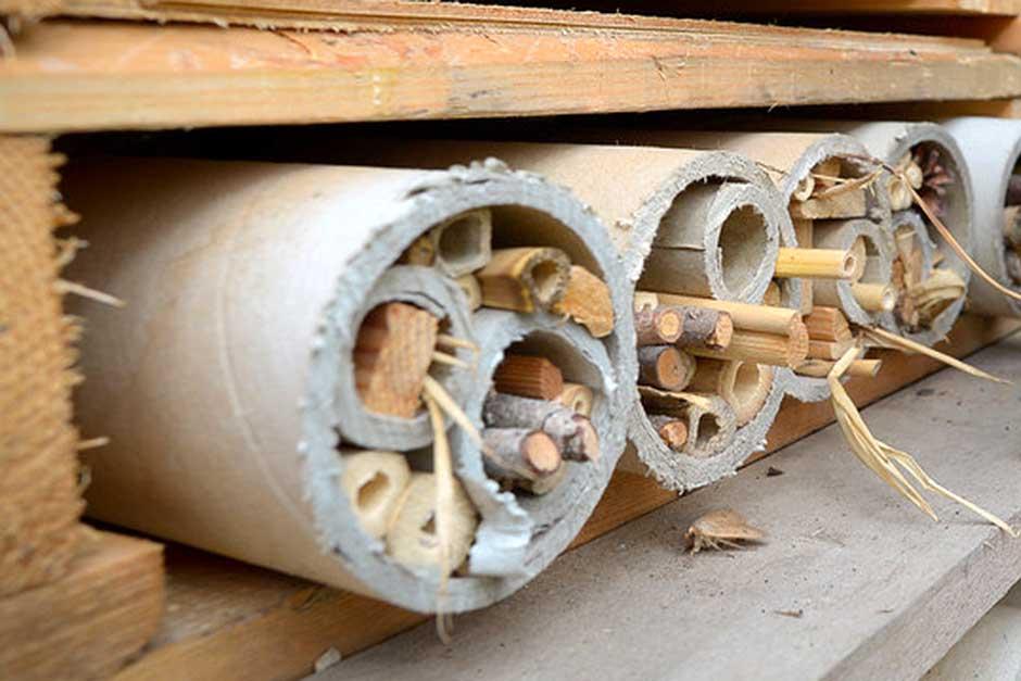 Make a bee hotel