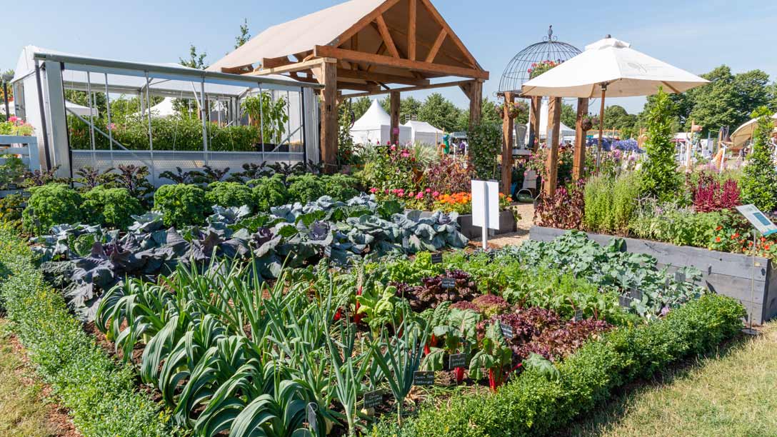 RHS Growing Community Garden