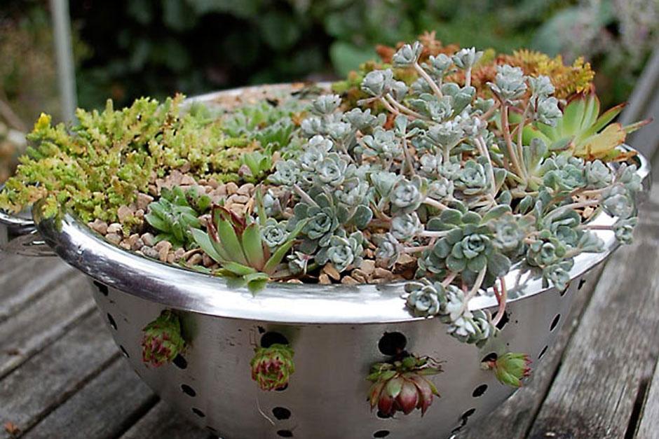 Make an alpine colander