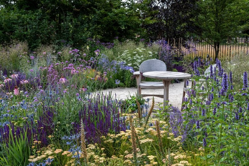 Pathway leading to seating area