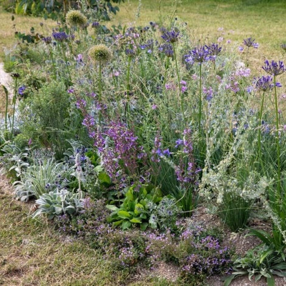 Shapes of Blue – Sensory Pocket Planting designed by Camilla Flint at the RHS Hampton Court Palace Garden Festival 2023