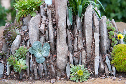 Planted up crevice trough