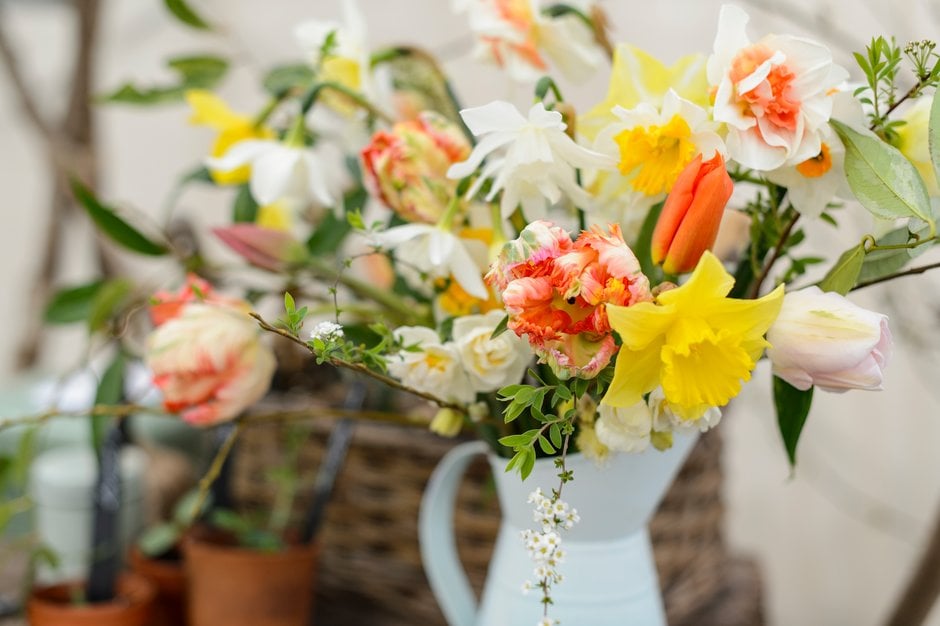 Flowers from the Farm in the Floral Marquee at the RHS Cardiff Flower Show 2018