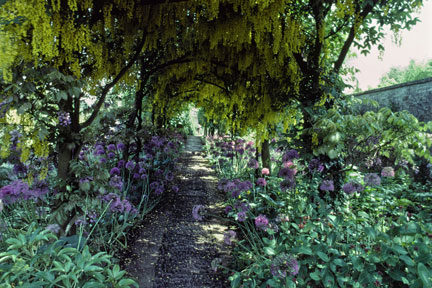 Shady walkway at Barnsley House, Gloucestershire