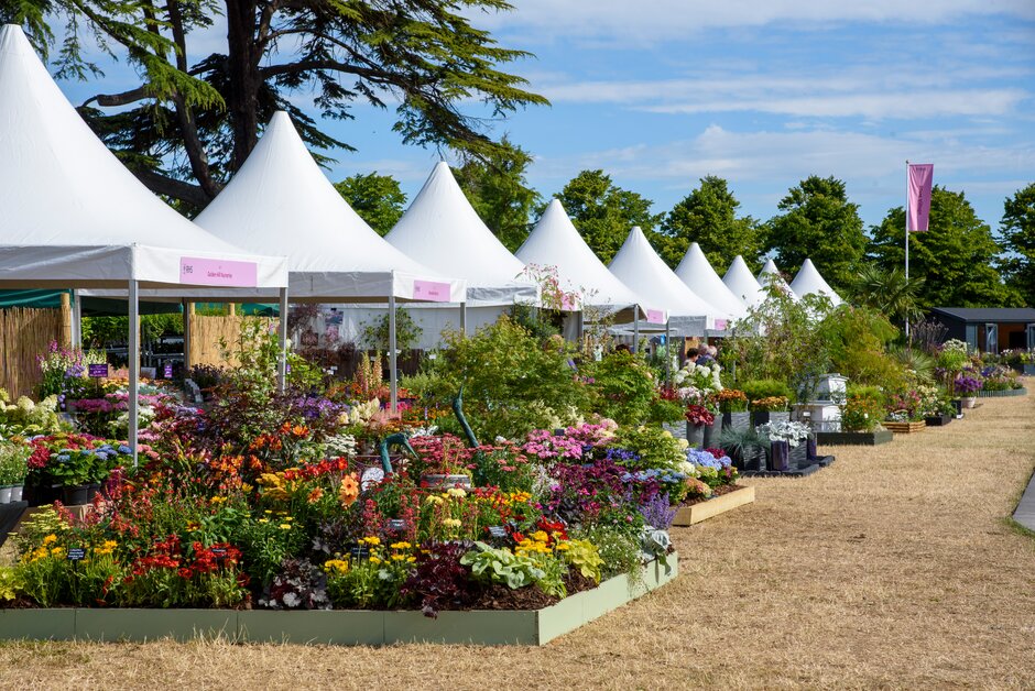 Plant Village at RHS Hampton Court 2022