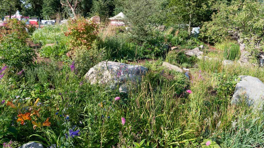 Countryfile’s 30th Anniversary Garden