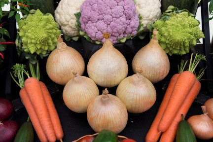 Exhibition vegetables on show bench