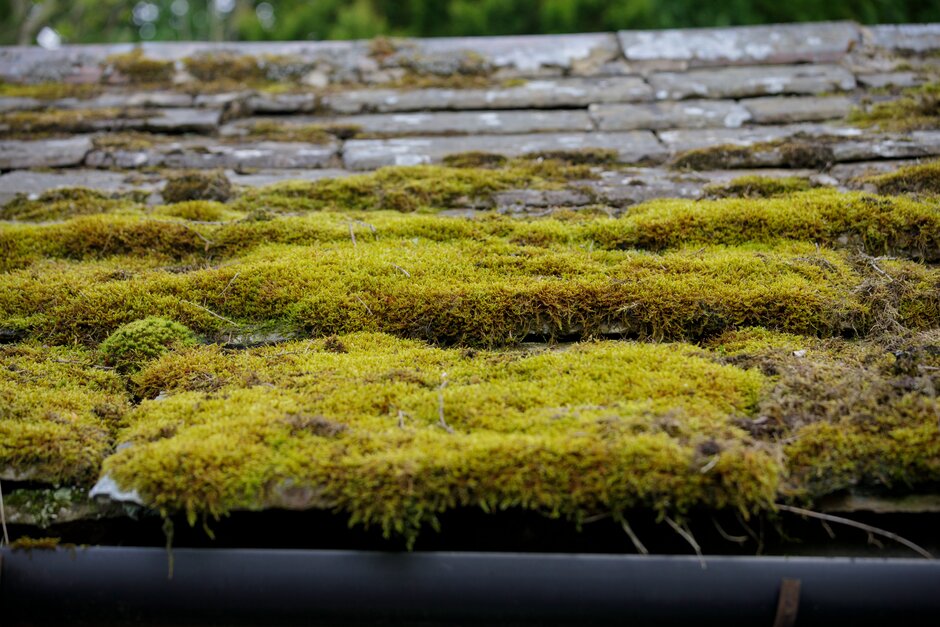 See Kazuyuki Ishihara’s private garden