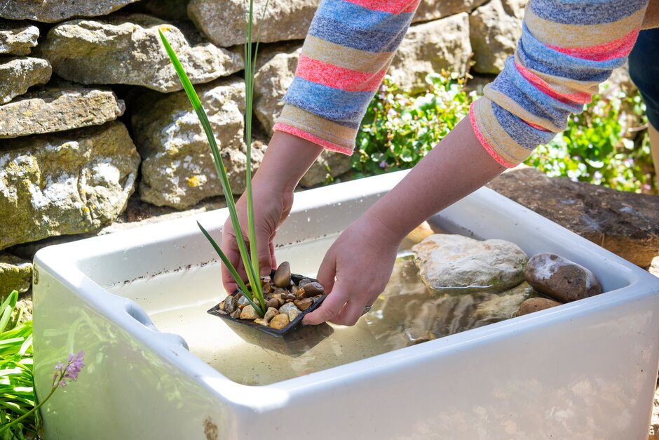 If you've never had a pond before, this mini version is a great starting point