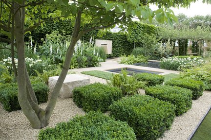 Box. Credit RHS/Neil Hepworth