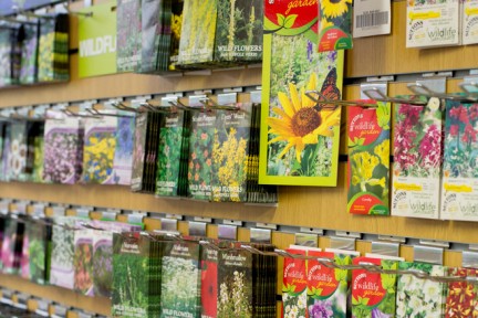 Wildflower seed packets RHS / Paul Debois