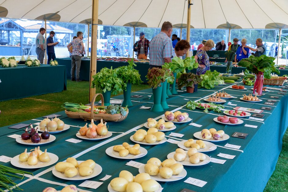 Vegetable display at RHS Tatton Park