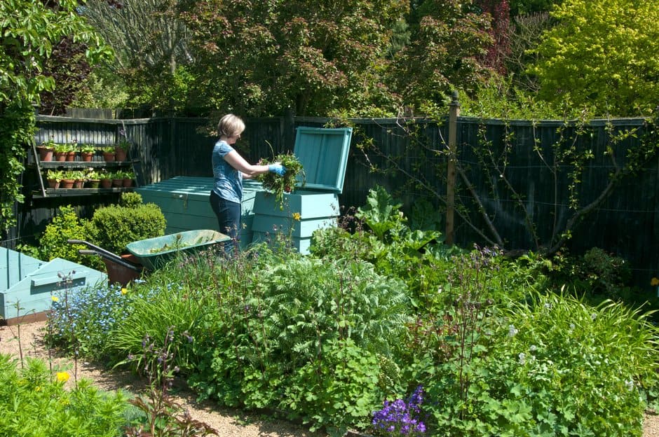 Fill your compost bin with a mix of leafy green material and chopped woody stems