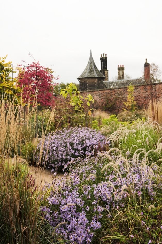 Paradise garden at RHS Bridgewater