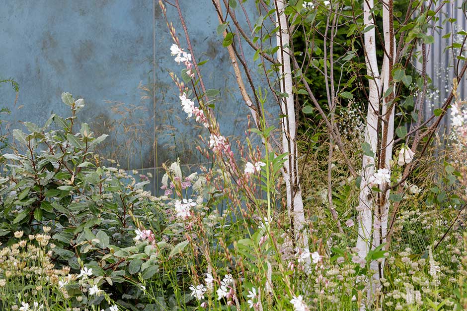 The Covid Recovery Garden